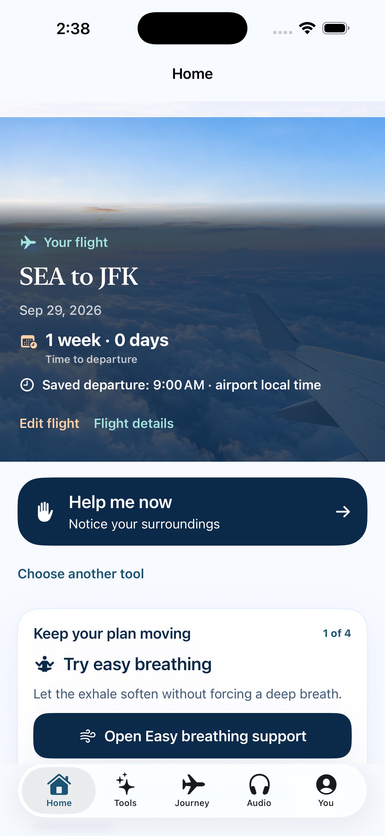 CabinCalm’s flight overview, with a saved itinerary and preparation tools